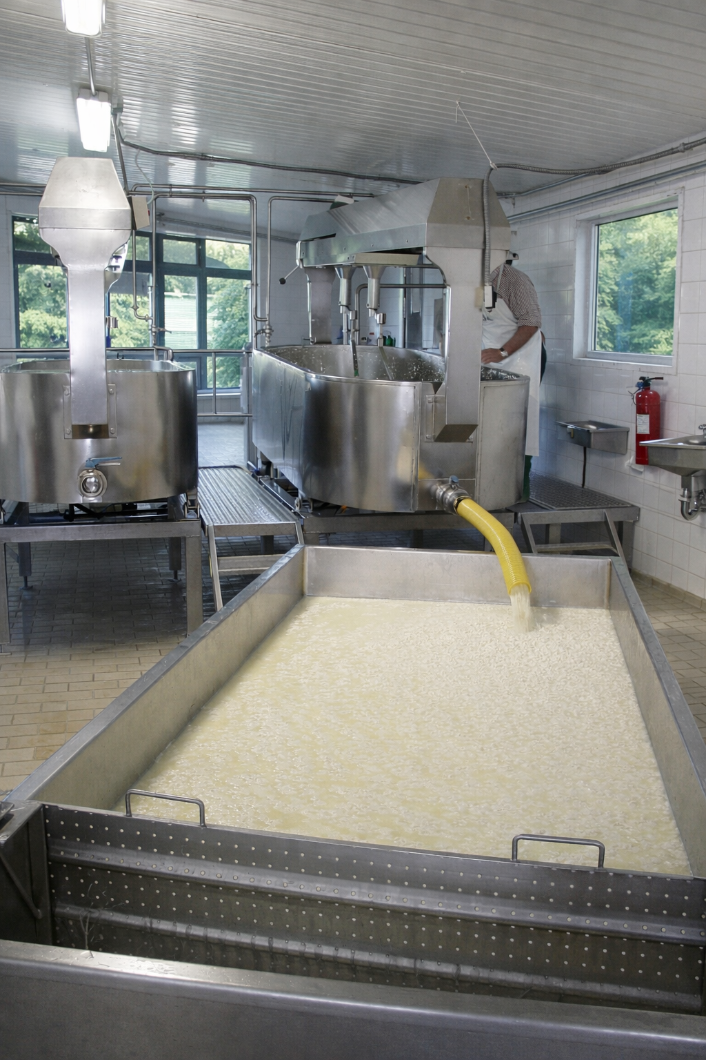 Selección de leche