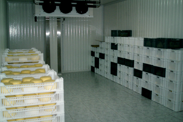 Maduración del queso